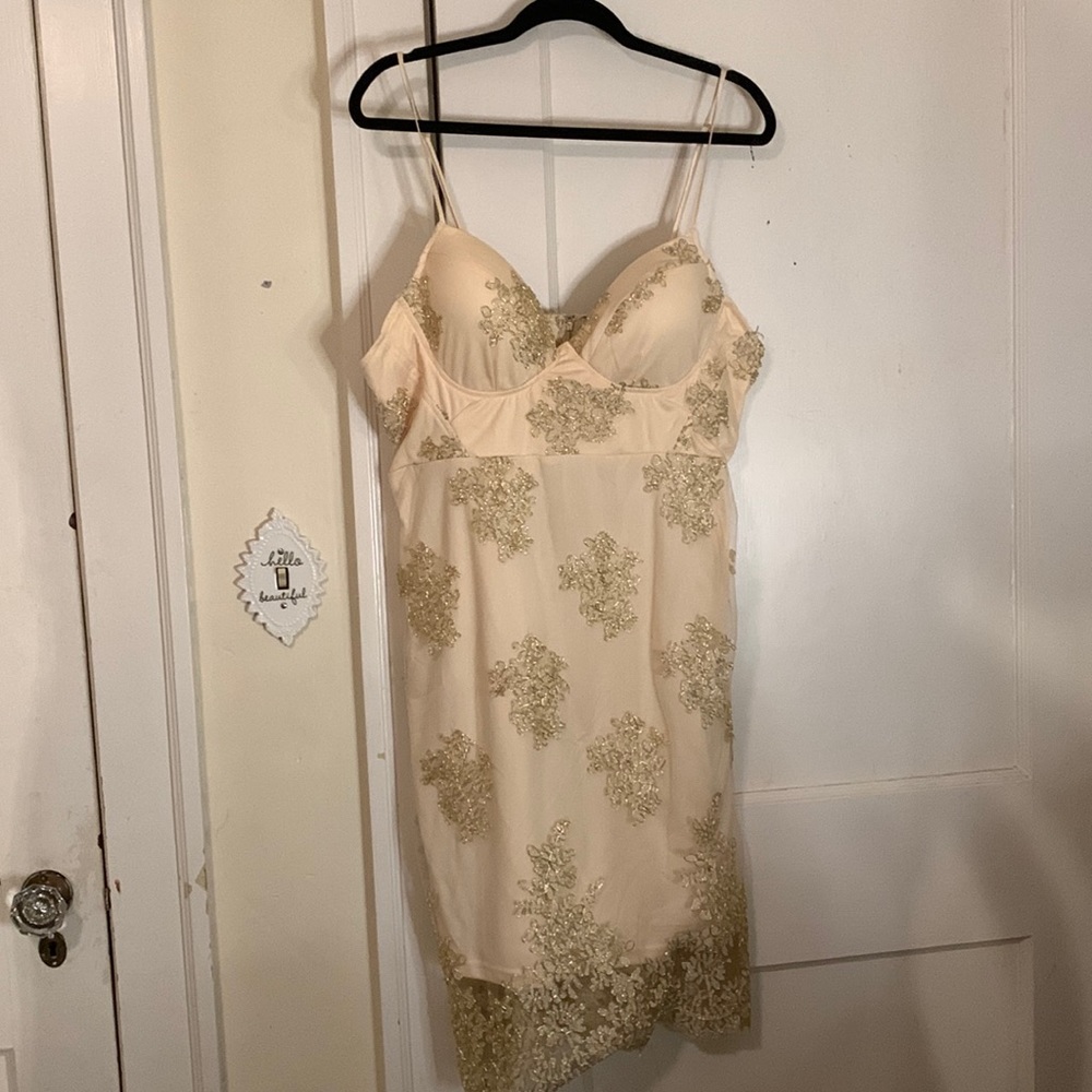 Fashion nova dress